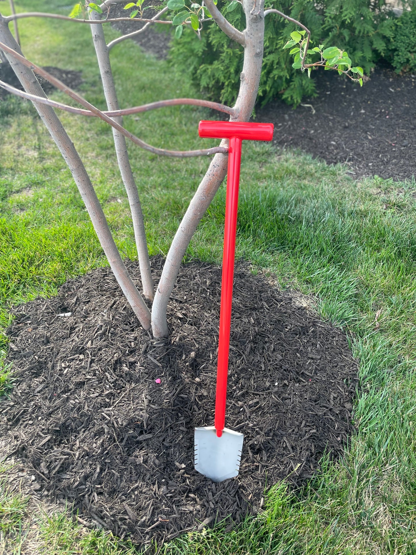 Red Garden Shovel in Mulch Bed