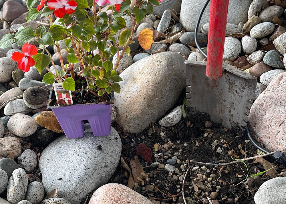 Red Garden Shovel blade in soil